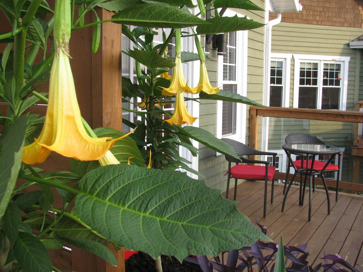 Gî'Temps couette et café B&B Granby Esterno foto